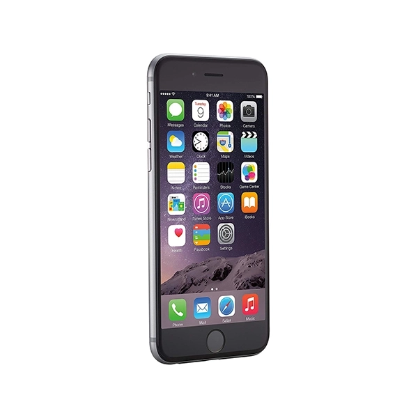 iPhone 5 / 5S